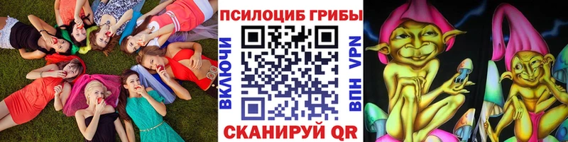 Купить закладки  Кочубеевское  Псилоцибиновые грибы Cubensis 
